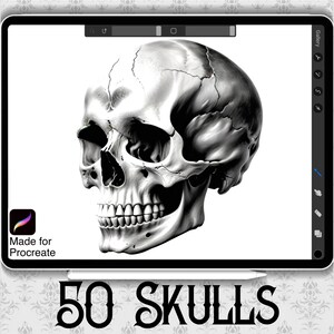 May include: A black and white digital illustration of a human skull. The skull is drawn in a realistic style with detailed features. The text "50 SKULLS" is visible at the bottom of the image. The text "Made for Procreate" is visible in the lower left corner of the image.