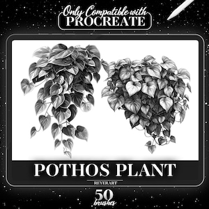 Puede incluir: Una ilustración digital de una planta de Pothos, una planta de interior popular con hojas en forma de corazón. La imagen está en blanco y negro y está etiquetada como "Pothos Plant" y "50 brushes".