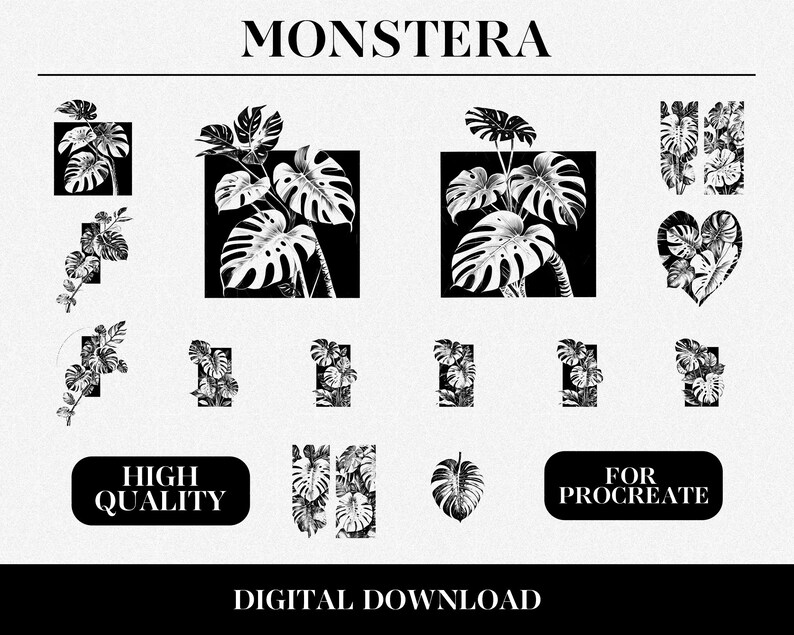 50 Monstera Leaf Design Bundle Procreate Compatible Highquality Brush
