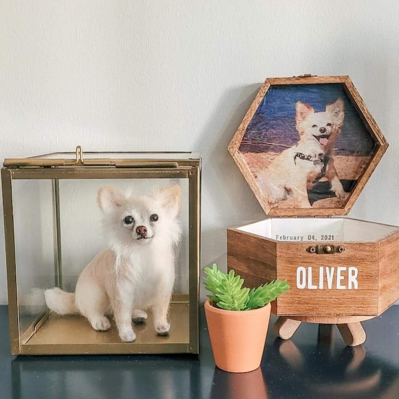 May include: A cream-coloured dog figurine in a gold-framed glass box. Next to it, a wooden box with the name "OLIVER" and a dog photo. A small potted succulent is in front of the box. The photo is in a hexagonal frame.