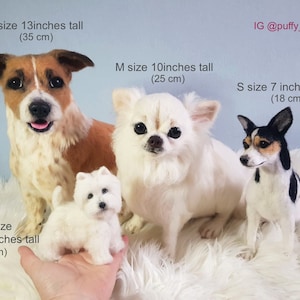 Cuddle dog clones, Stuffed Chihuahua, Custom stuffed dog, Needle felted animals, Pet replicas, Cuddle dog clones