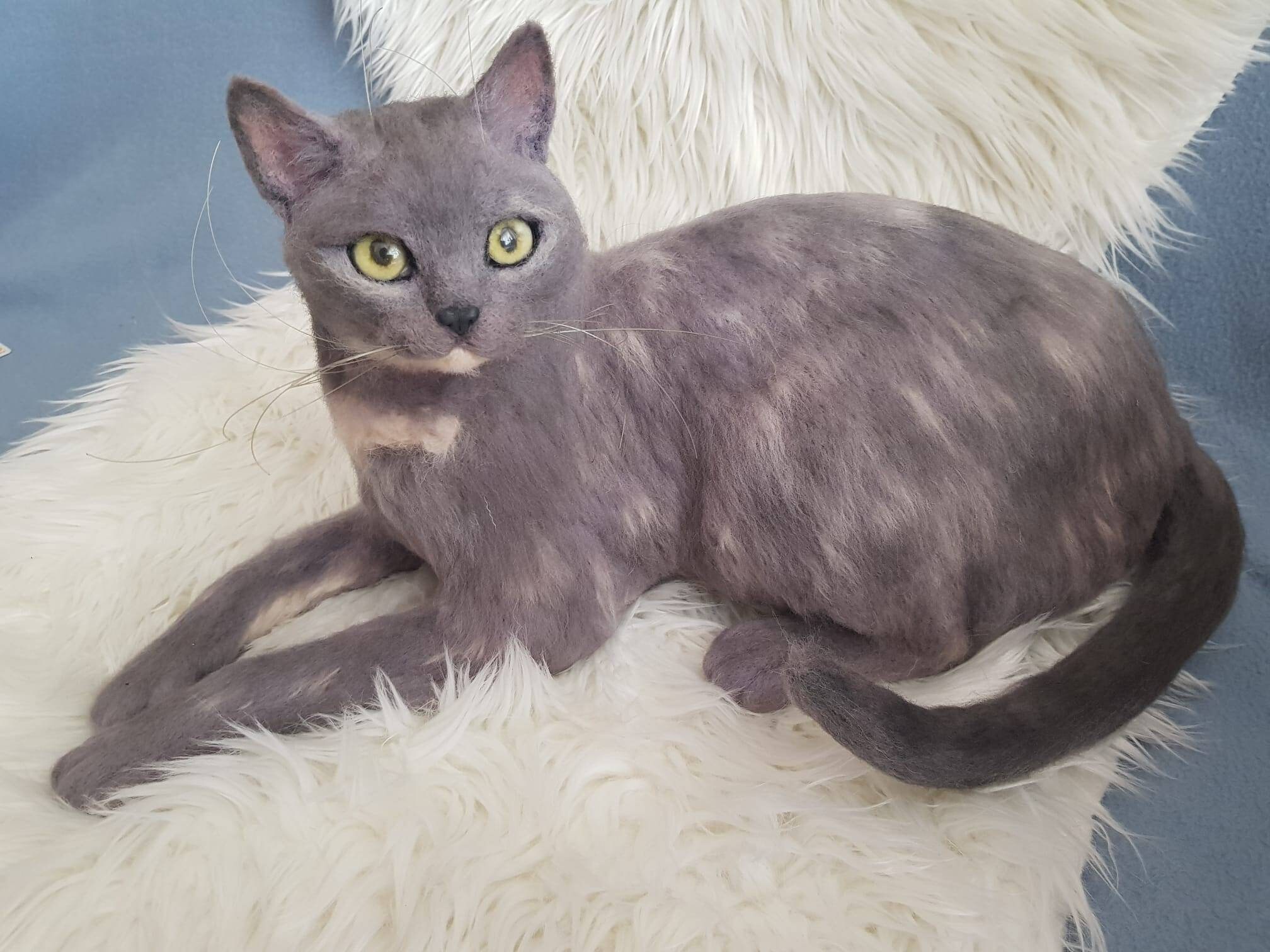 Custom Stuffed Cat Clone Realistic Stuff Animal Cute Kitten Etsy