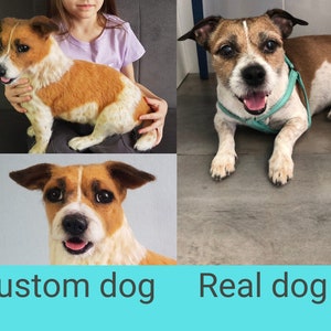 May include: An image comparing a felted custom dog sculpture with a real dog. The sculpture is brown and white, held by a person. The real dog, a Jack Russell Terrier, wears a teal harness. Text below reads "Custom dog" and "Real dog".