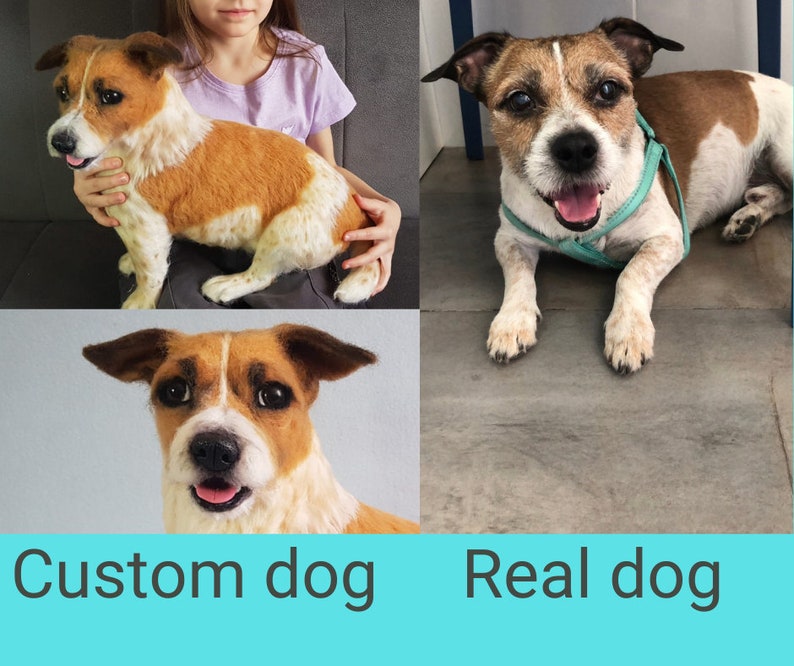 May include: An image comparing a felted custom dog sculpture with a real dog. The sculpture is brown and white, held by a person. The real dog, a Jack Russell Terrier, wears a teal harness. Text below reads "Custom dog" and "Real dog".