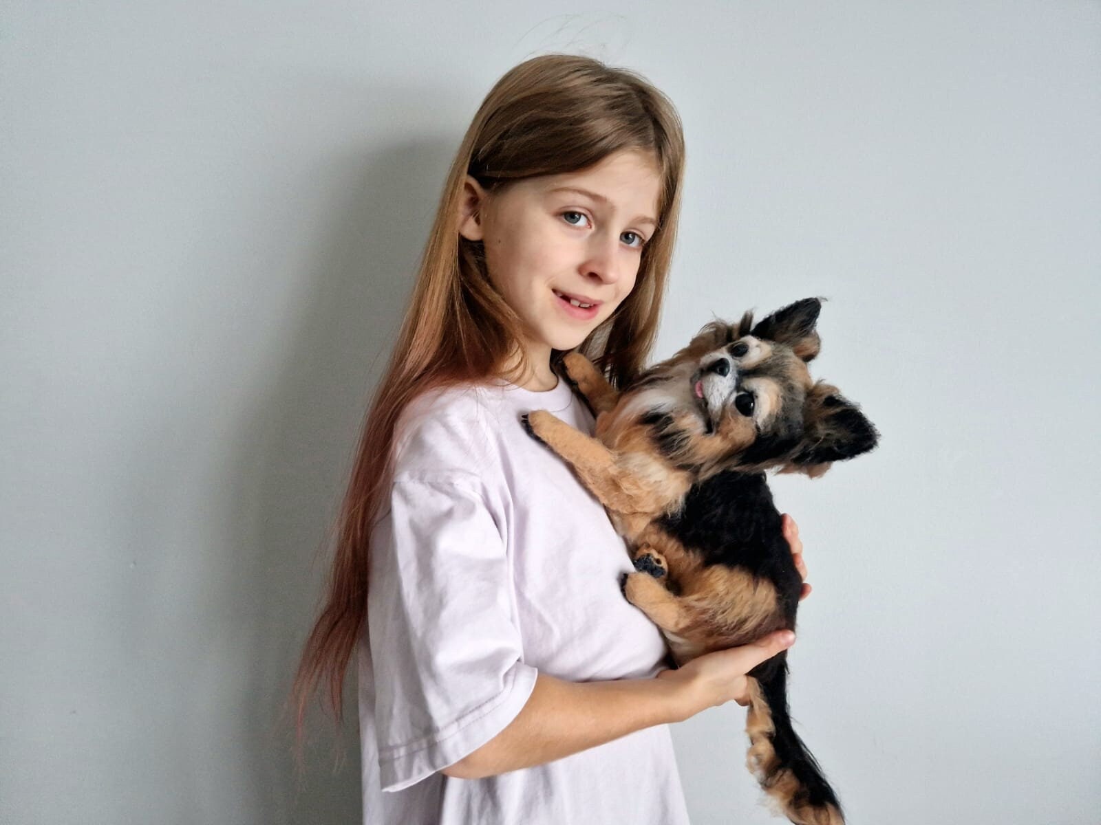 Long Haired Chihuahua Stuffed Animal Etsy