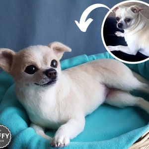 May include: A cream-coloured Chihuahua dog sculpture, lying in a turquoise bed. The dog has dark eyes and a small, black nose. The bed is inside a woven basket. A smaller, circular image of the dog is in the upper right corner. The logo "The Puffy Decor" is in the lower left.