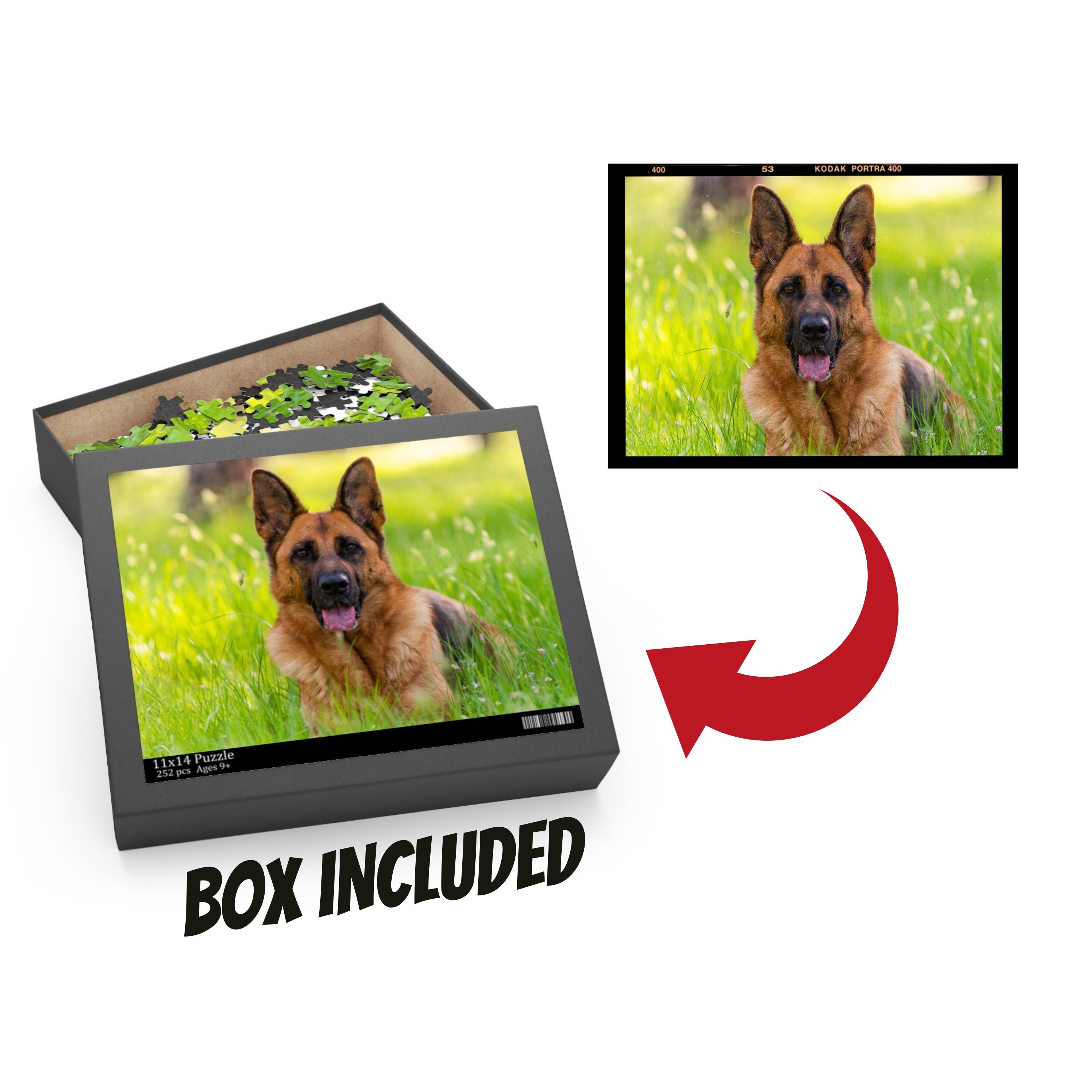 your dog on a puzzle