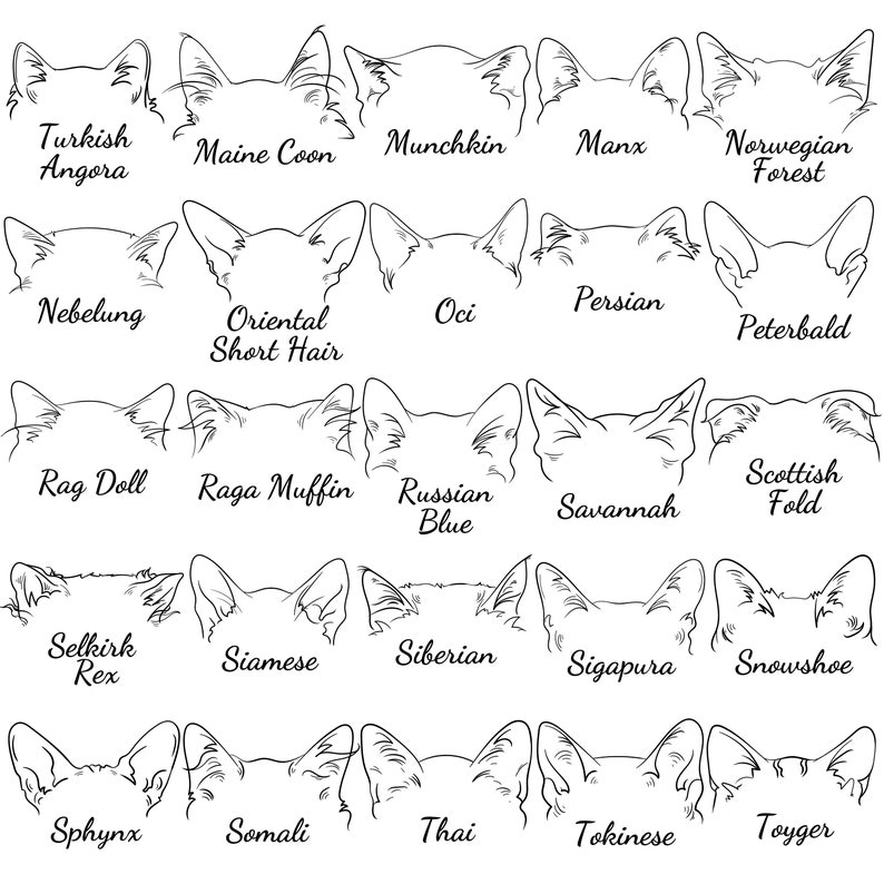 May include: Line drawing illustrations of 20 different cat breeds, including Turkish Angora, Maine Coon, Munchkin, Manx, Norwegian Forest, Nebelung, Oriental Short Hair, Oci, Persian, Peterbald, Rag Doll, Raga Muffin, Russian Blue, Savannah, Scottish Fold, Selkirk Rex, Siamese, Siberian, Sigapura, Snowshoe, Sphynx, Somali, Thai, Tokinese, and Toyger.