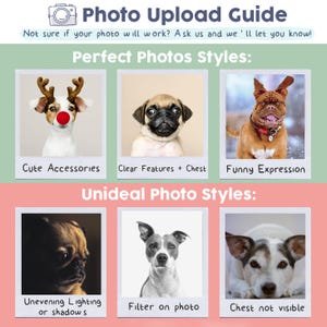 May include: A guide titled "Photo Upload Guide" with examples of ideal and unideal photo styles. The perfect photo styles include cute accessories, clear features, and funny expressions. Unideal styles include uneven lighting, filters, and obscured chests.