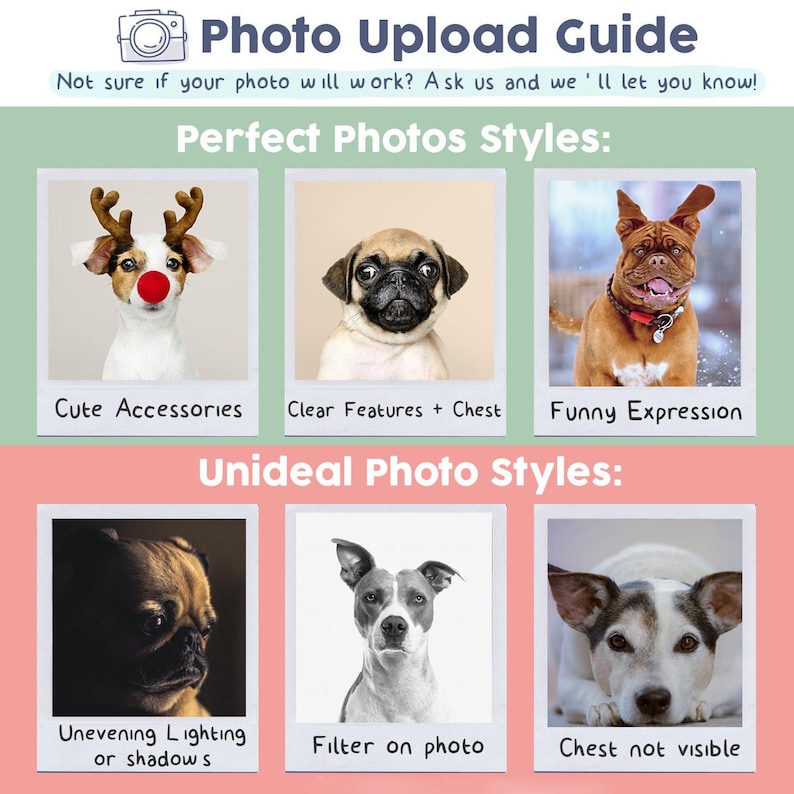 May include: A guide titled "Photo Upload Guide" with examples of ideal and unideal photo styles. The perfect photo styles include cute accessories, clear features, and funny expressions. Unideal styles include uneven lighting, filters, and obscured chests.