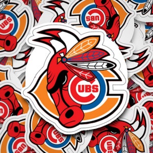 The Chicago Beast (South) Logo Mashup - Pro Teams Combined - All City Logos  Put Together | Metal Print