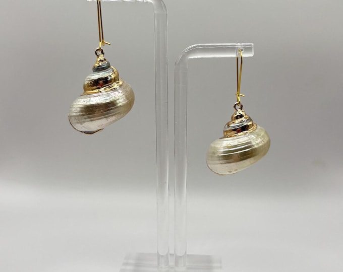 Seashell Earrings