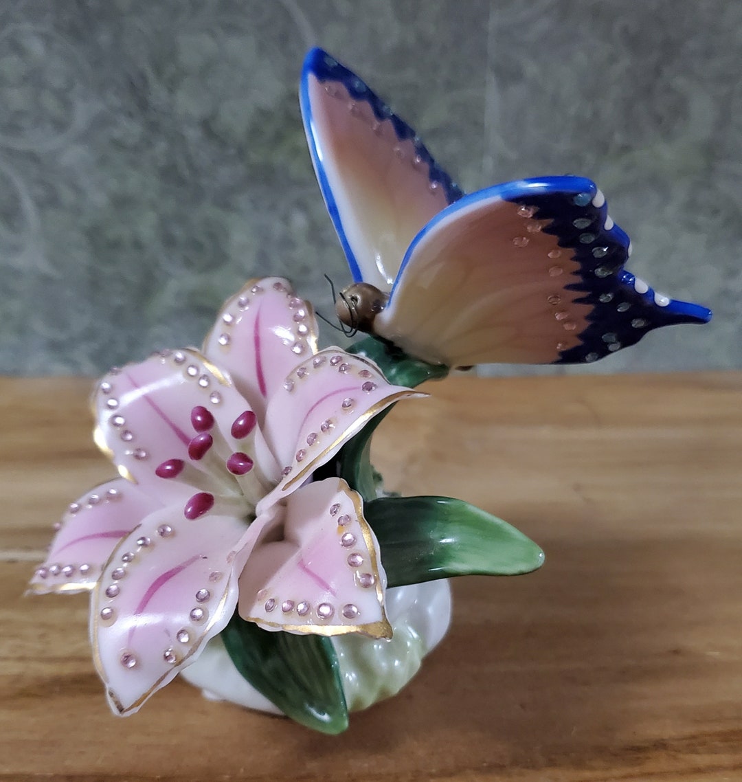 The Cookie Countess Multicolor Egg Cartons Pack Of 6