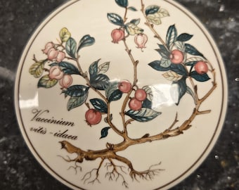 May include: A white ceramic plate with a botanical illustration of a plant with pink berries and green leaves. The plant is labeled "Vaccinium vitis-idaea".