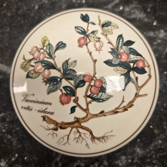 Villeroy and boch botanica - Gem