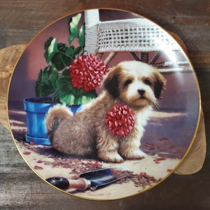 Set Collectors Plates - Etsy