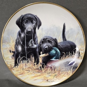 May include: A round decorative porcelain plate with a gold-trimmed edge featuring a detailed illustration of two black Labrador retriever puppies in a field of dry grass. One puppy holds a duck decoy in its mouth, while the other sits nearby.