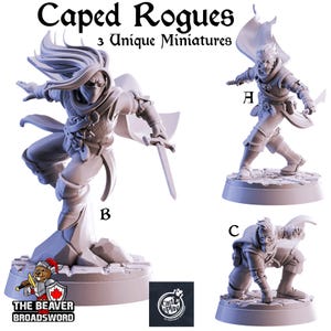 May include: Three unpainted miniature figures of caped rogues in dynamic poses, each holding a sword. The figures are labeled A, B, and C. The text "Caped Rogues" and "3 Unique Miniatures" are at the top. The Beaver Broadsword logo is at the bottom.