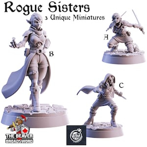 May include: Three unpainted miniature figures labelled A, B, and C. The figures are of female characters in action poses, with swords and knives. The text "Rogue Sisters" and "3 Unique Miniatures" are at the top of the image.