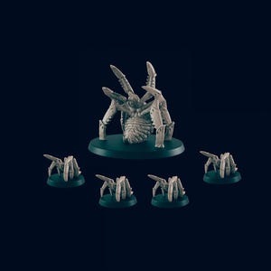 5 Spider Miniature Pack - EC3D | DnD | Monster | Large | Big | Underdark | 32mm | Pathfinder | commoner | TTRPG | Wargaming | Mountain
