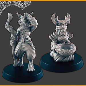 Desert Catfolk - Ziener en gids - DND mini, EC3D Scorching Sands, Desert Miniatures | Tabaxi | Man| Vrouw | Dorpeling | Gewone | NPC: