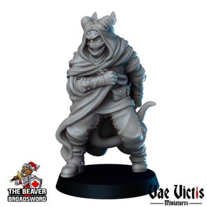 Miniatura de Asesino Tiefling DnD - Vae Victis / Pícaro / Ladrón / Masculino / PJ / Daga / Héroe / Medieval / Encapuchado / Veneno / PNJ / Fantasía