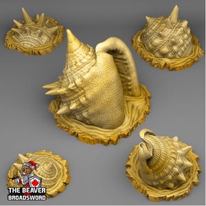 May include: A collection of five beige, spiky, conch shell sculptures. The shells have a textured surface and are arranged on a gray background. The logo "THE BEAVER BROADSWORD" is visible in the lower left corner.