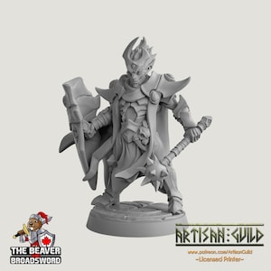 Ashen Alfar Inquisitor E - Dungeons and Dragons | Male | Fighter | Paldin Cleric | Elf Drow DnD 5e Fantasy  Pathfinder 2e 5e Tabletop Mini