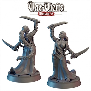 Mini Augur 28/32 mm - Vae Victis | MdD | Moine | Combattant | Humain | Éclaireur | TTRPG | Femme | Tombe-de-givre | Clerc | Prêtresse