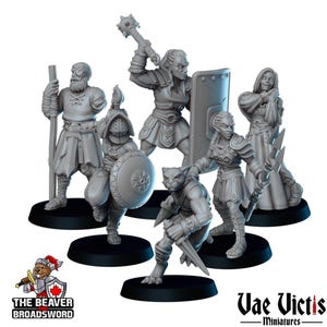 Gladiators mini Set - Vae Victis | DnD | Elf | Tabaxi | Goliath | Human | Arena | Fighter | Pathfinder |  Assassin | Wargaming