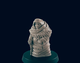 Human Woman Grandmother DnD Mini- EC3D |Villager minis | peasant | PC/NPC | 32mm | Pathfinder | commoner | TTRPG | Wargaming | Frostgrave
