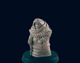 Human Woman Grandmother DnD Mini- EC3D |Villager minis | peasant | PC/NPC | 32mm | Pathfinder | commoner | TTRPG | Wargaming | Frostgrave