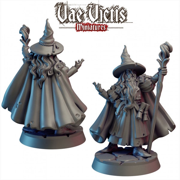 Menselijke Mannelijke Tovenaar 28/32mm mini - Vae Victis | DnD | Tovenaar | Tovenaar | Tovenaar | Mens | Verkenner | TTRPG | Oorlogsgamen | Frostgrave