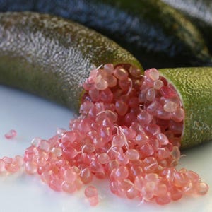 May include: Close-up of a green finger lime, also known as a caviar lime, cut open to reveal the pink, pearl-like fruit inside. The fruit is spilling out of the lime, creating a visually appealing display.