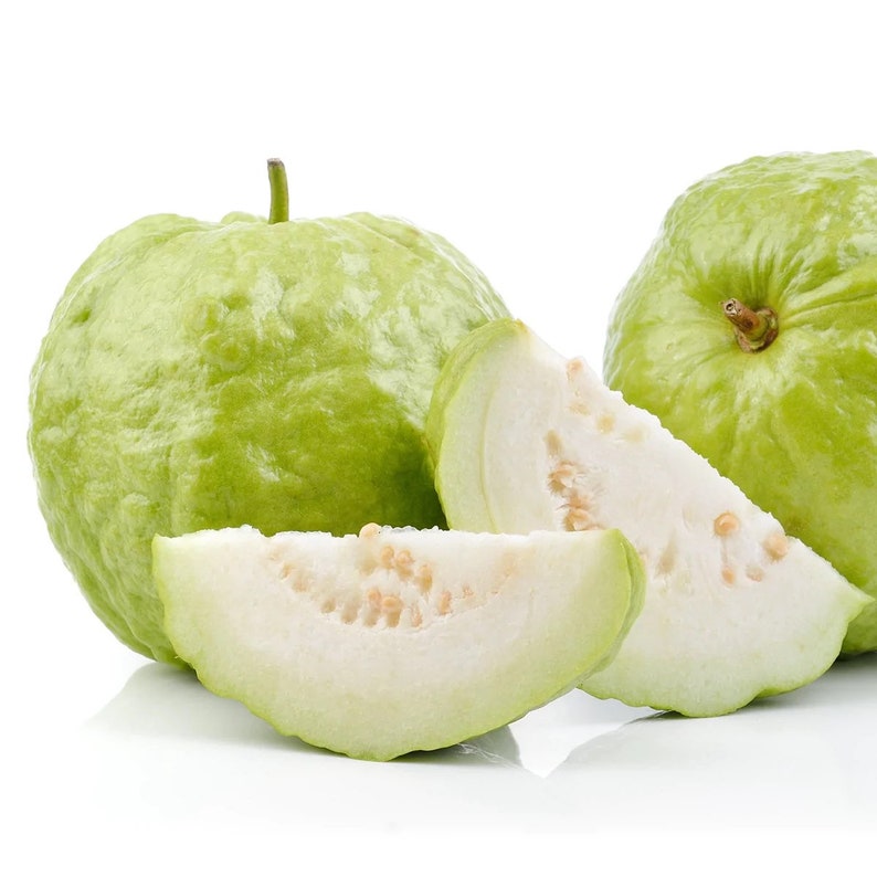 guava