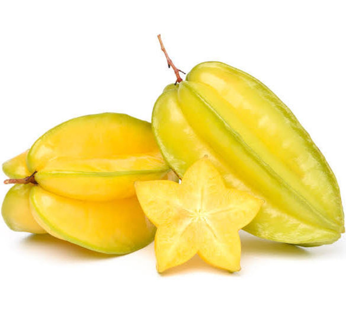 Star Fruit Tree free Shipping Etsy