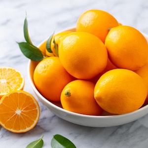 Meyers Lemon Bush Live Plant.