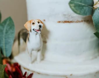 Personalized custom dog ,pet CakeTopper,Pets Birthday,cat caketopper , Anniversary pet，dog Figurines，Dogs birthday,wedding cake topper