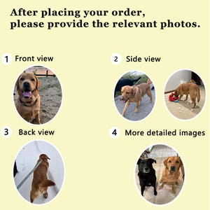 May include: Image with text: "After placing your order, please provide the relevant photos." Includes four views of dogs: front, side, back, and more detailed images. The dogs are various colors, including black and tan.