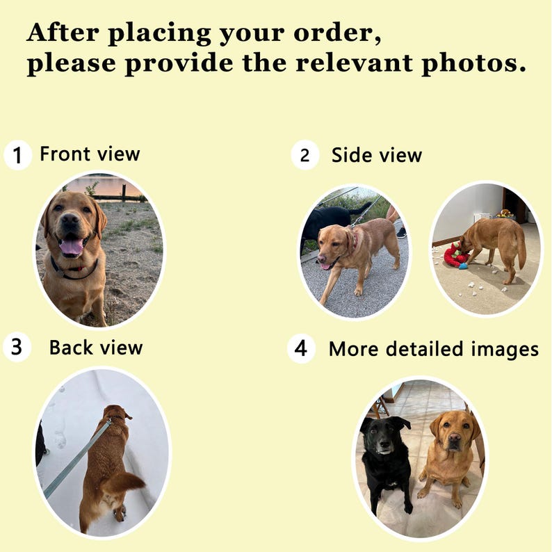 May include: Image with text: "After placing your order, please provide the relevant photos." Includes four views of dogs: front, side, back, and more detailed images. The dogs are various colors, including black and tan.