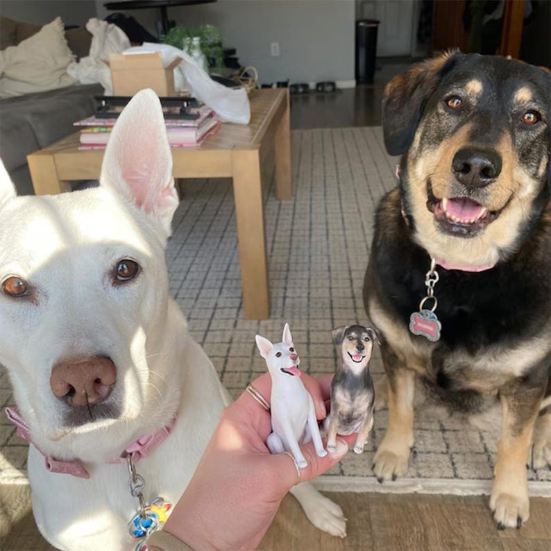 May include: A white dog and a black and brown dog sit next to a person holding two small dog figurines. The figurines are miniature replicas of the dogs. The dogs wear pink collars with tags.