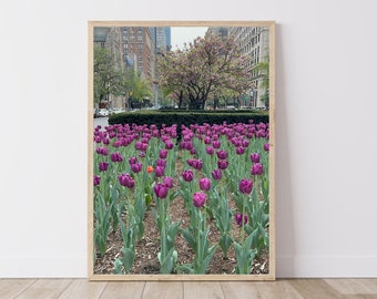 New York City Park Avenue Tulips Photo | Digital Wall Art Print | Digital Photo Print | New York City Photography | Park Avenue NYC Photo