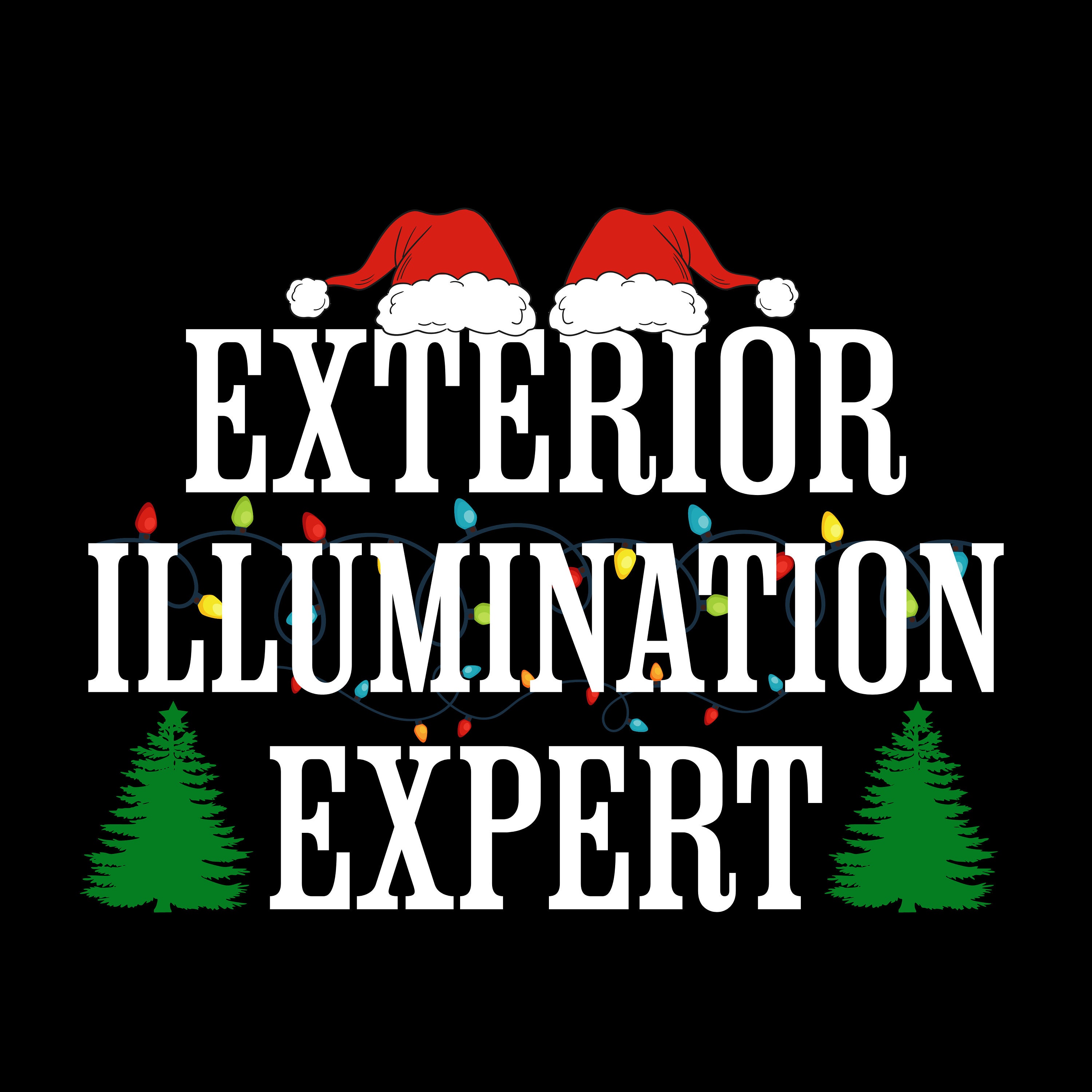 Christmas Vacation movie, Exterior Illumination Expert, Clar