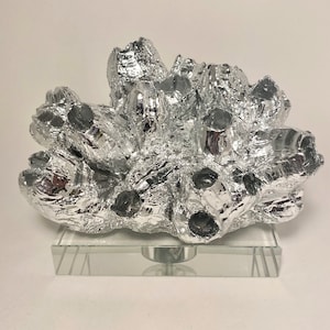 Vintage Silver Gilded Barnacle Coral Sculpture on Lucite Acrylic Base Coastal Art Decor