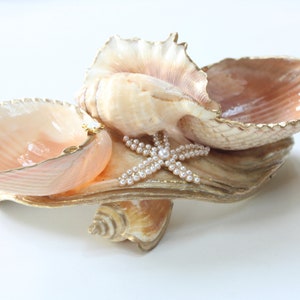 May include: A decorative seashell dish with three compartments. The dish is made of natural seashells and has a gold-colored trim. A pearl starfish sits in the center of the dish.