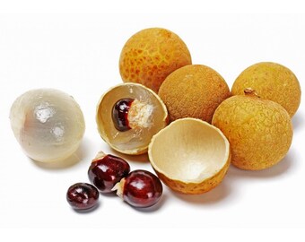 Peak Season Fresh 15 Longan Seeds