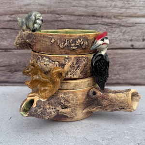 May include: A ceramic decorative container with a rustic, tree-trunk design. It features a raccoon, squirrel, and woodpecker. The container has a green interior and is made of brown and tan ceramic.