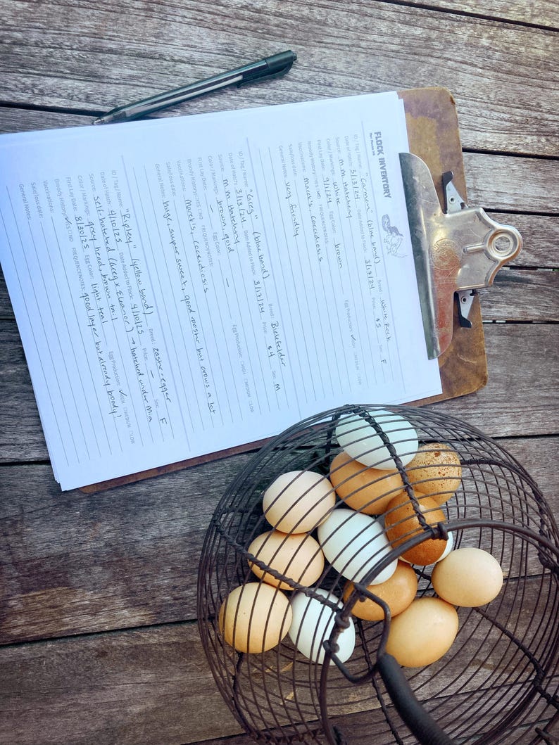 Flock Inventory (digital Download) - Etsy