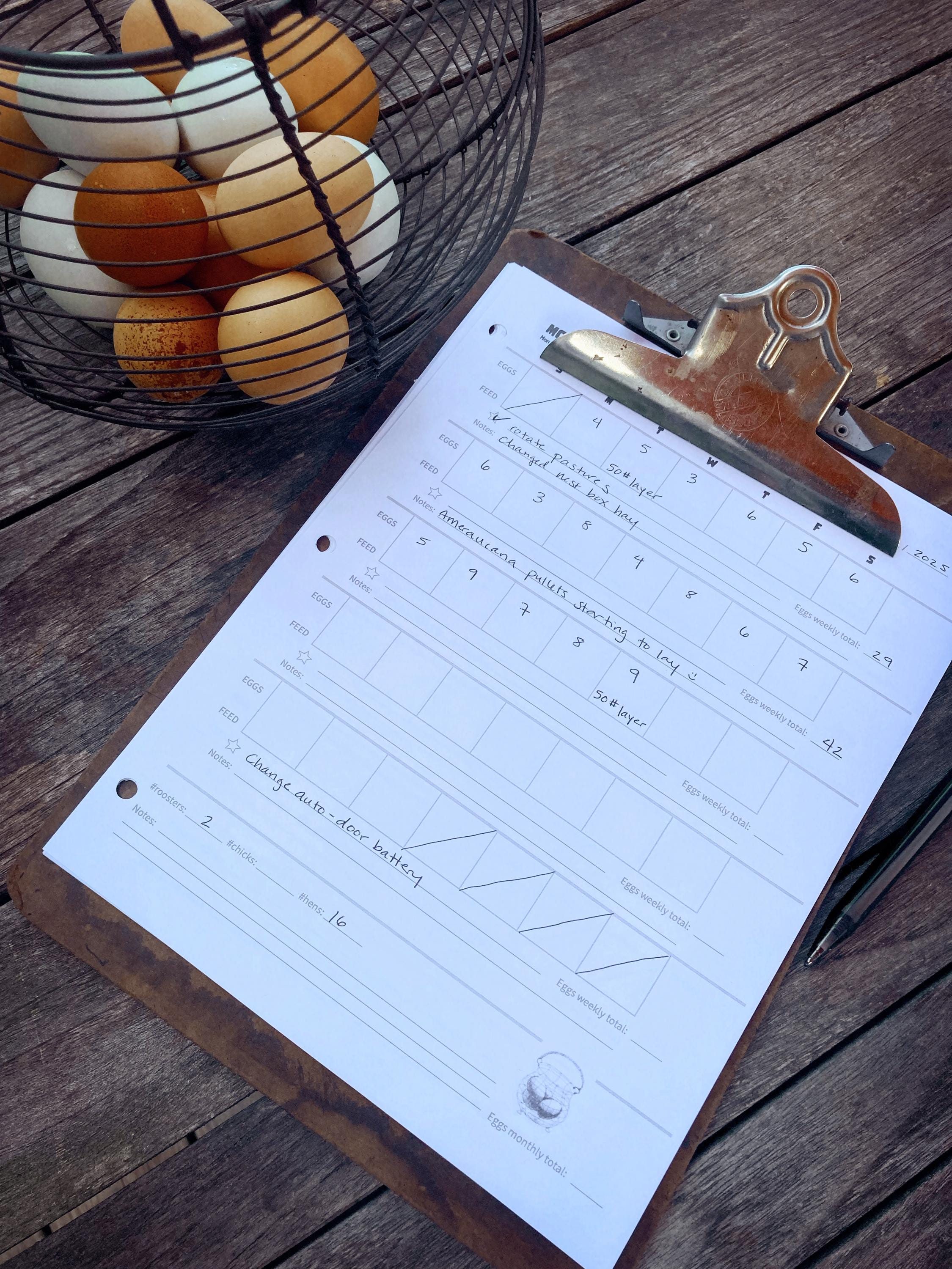 Complete Chicken Record Bundle (digital Download) - Flock Inventory ...