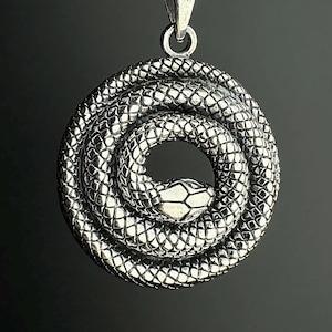 May include: A silver pendant necklace with a coiled snake design. The snake is highly detailed, with a textured surface and a visible head. The pendant hangs from a delicate silver chain, creating a striking piece of jewellery.